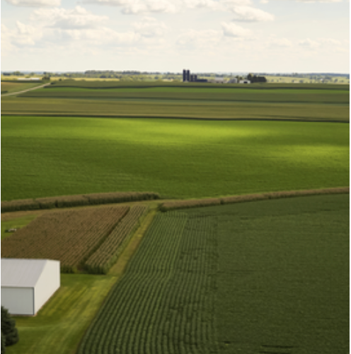 Farmland for Sale Near You